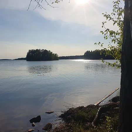 Ehdottomasti Talitiaisen Moekit