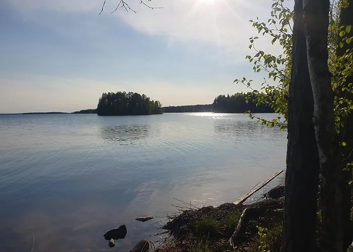 Ehdottomasti Talitiaisen Moekit